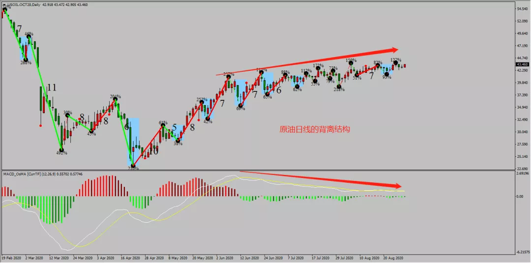 5.webp